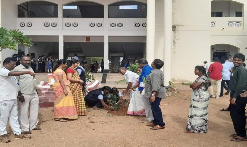 Tree plantation program